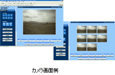 �J������ʗ�