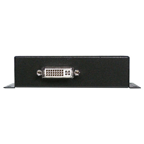 AI-DLS-101DVI