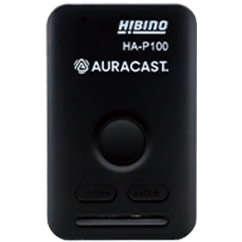 HA-P100