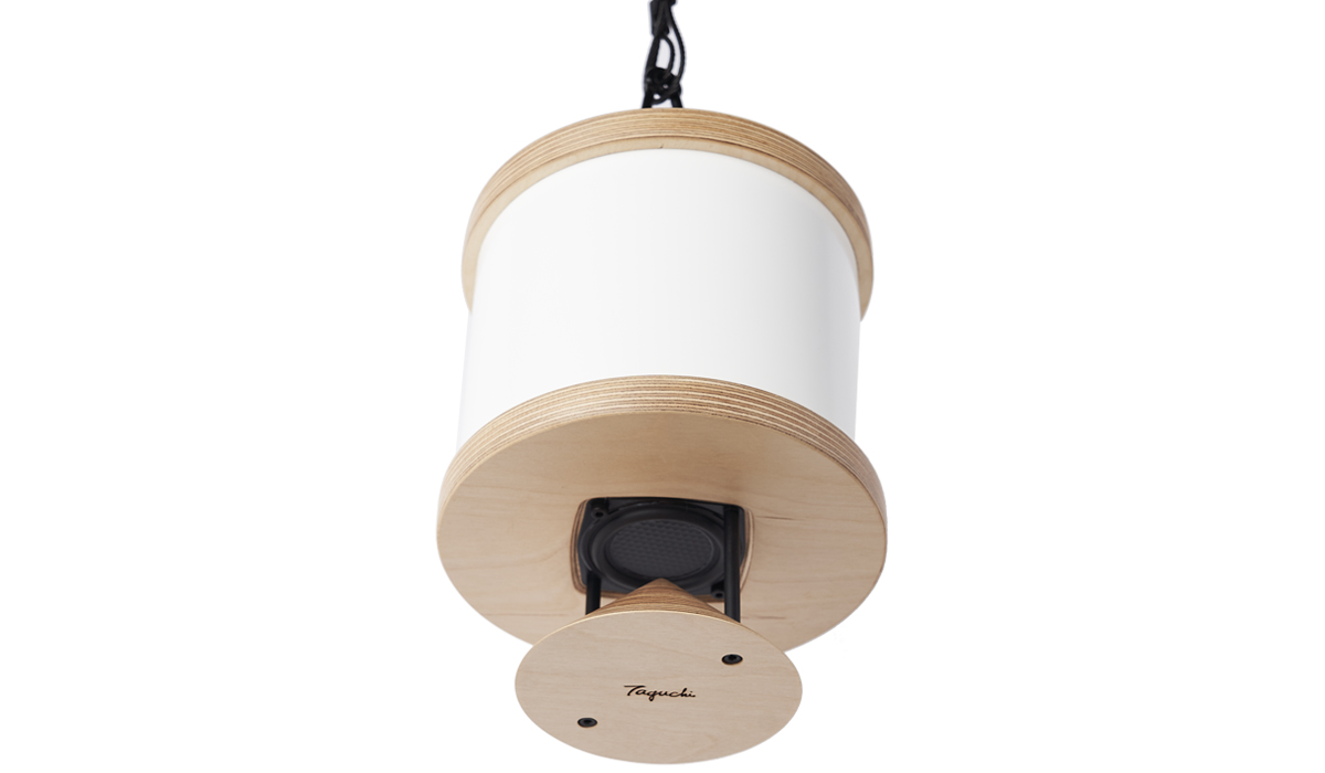 REX060-P150-W-CL