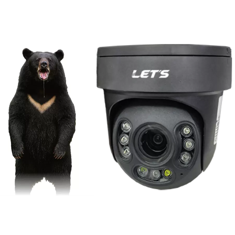 L-KUMA