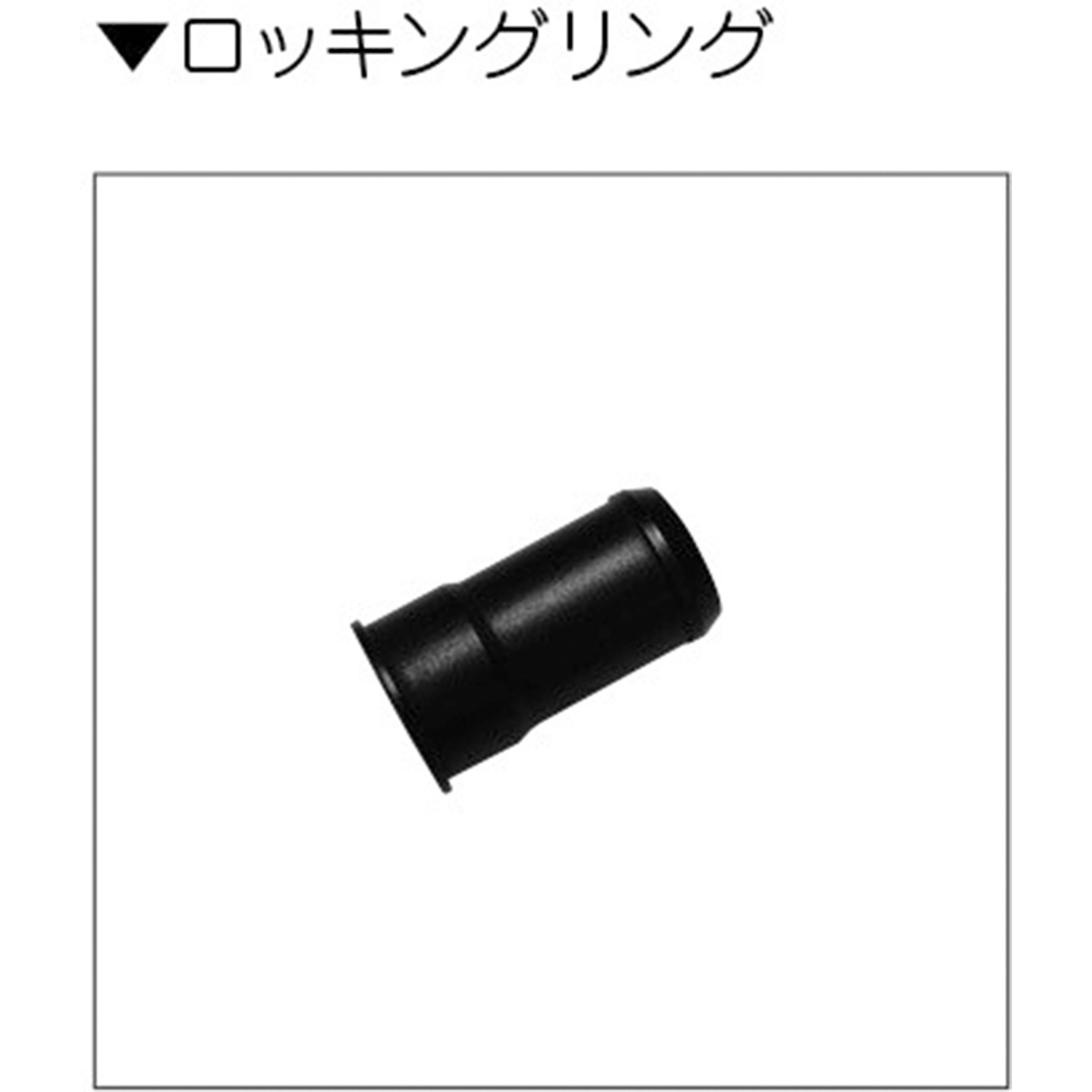 DM6000-BM