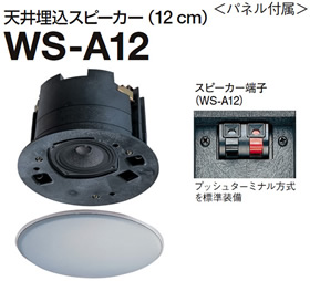 WS-A12