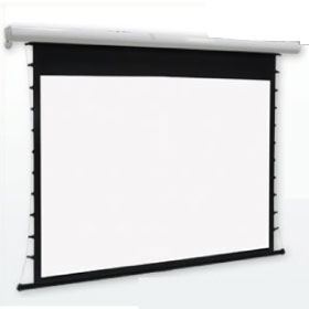 ESF-WX100W