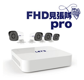 L-FHDM-Pro